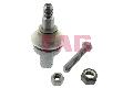 Sworzeń wahacza do Mercedesa, 825 0127 10, FAG w ofercie sklepu e-autoparts.pl 