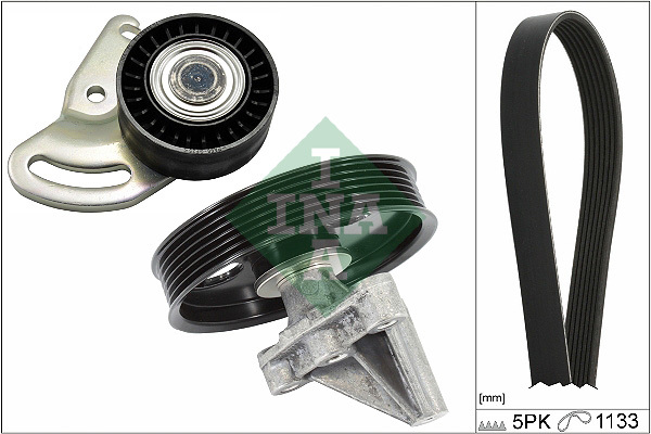 Zestaw paska klinowego wielorowkowego 529 0396 10 INA