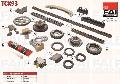 Zestaw łańcucha rozrząduTCK93, FAI w ofercie sklepu e-autoparts.pl 