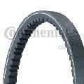 Pasek klinowy11,5X790Ld, CONTITECH w ofercie sklepu e-autoparts.pl 