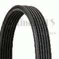 Pasek klinowy wielorowkowy6DPK1188, CONTITECH w ofercie sklepu e-autoparts.pl 