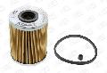 Filtr paliwaCFF100253, CHAMPION w ofercie sklepu e-autoparts.pl 