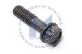 ŚRUBA Z ŁBEM 12-KĄTNYM VAGN10101001, VOLKSWAGEN w ofercie sklepu e-autoparts.pl 