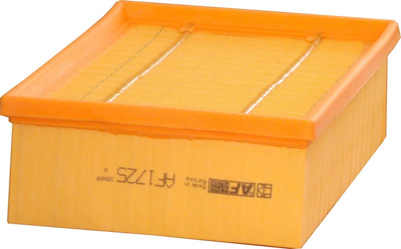 filtr powietrza citroen xsara 2.0hdi 99- AF1725-00 ALPHA FILTER